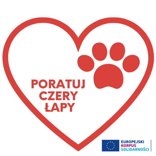 Nowy projekt solidarnościowy „Poratuj 4 łapy”
