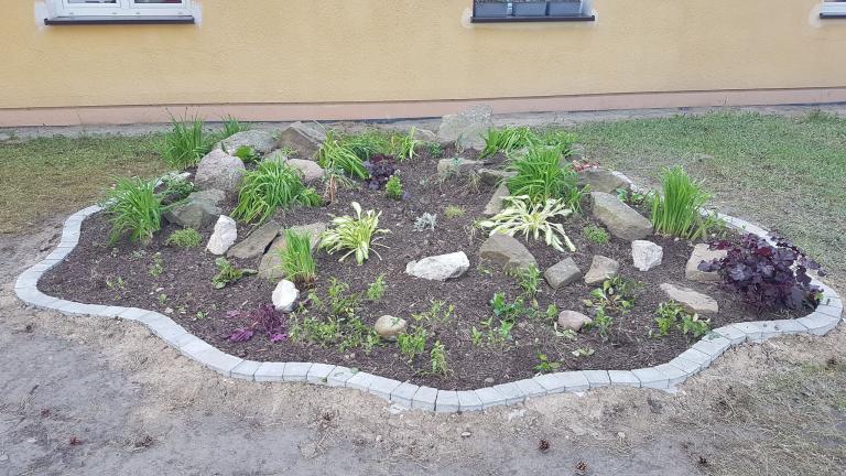 Nowe życie skalniaka