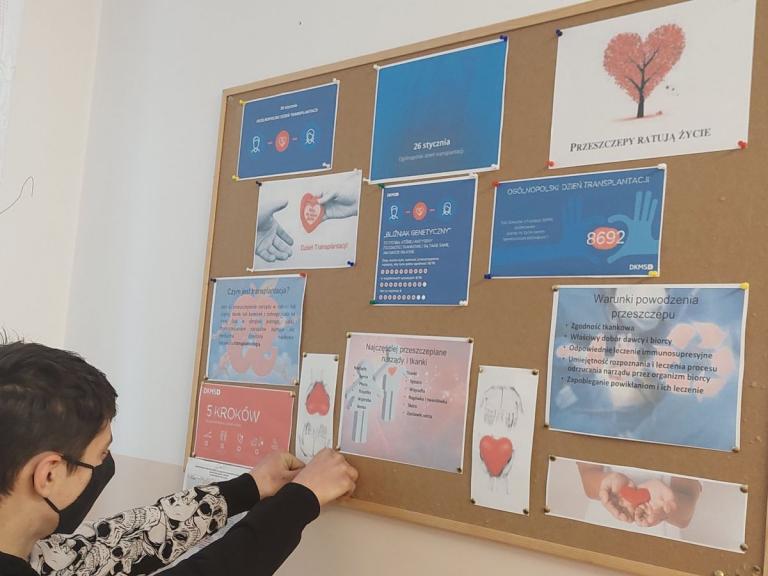 Dzień transplantacji w stalowowolskim hufcu