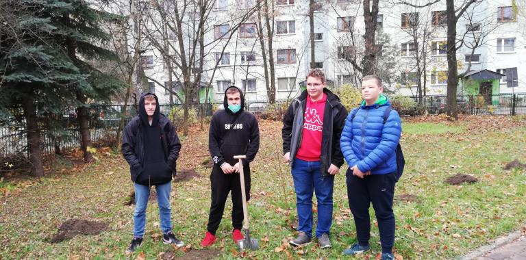 Łączą nas drzewa