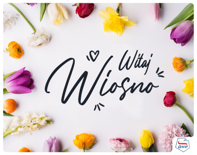 Witaj, Wiosno! – Pierwszy Dzień Wiosny i Możliwości dla Młodzieży ZWK OHP