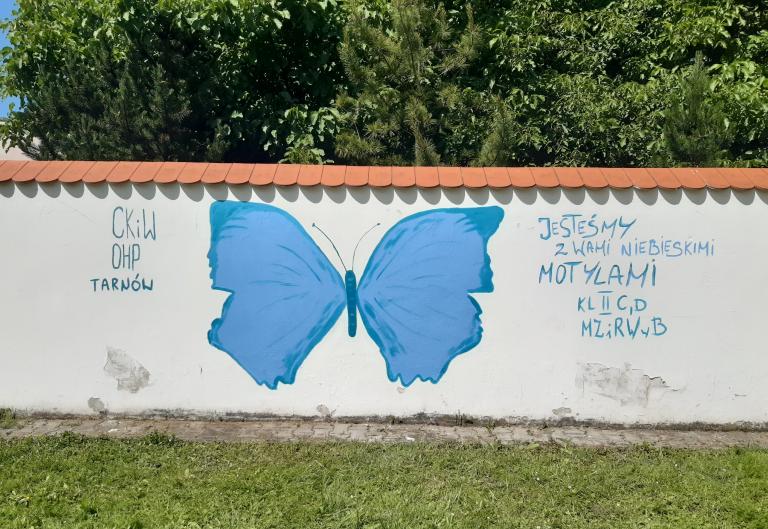 #challengeniebieskiemotyle2021 