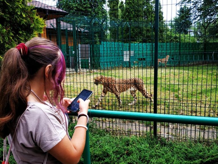 Pszczyński Hufiec Pracy w  chorzowskim ZOO
