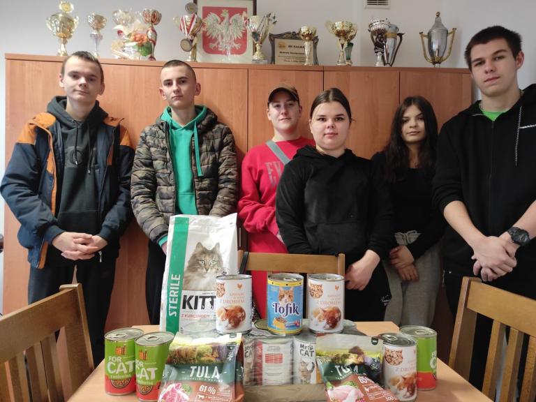 Wspieramy bezdomne zwierzęta