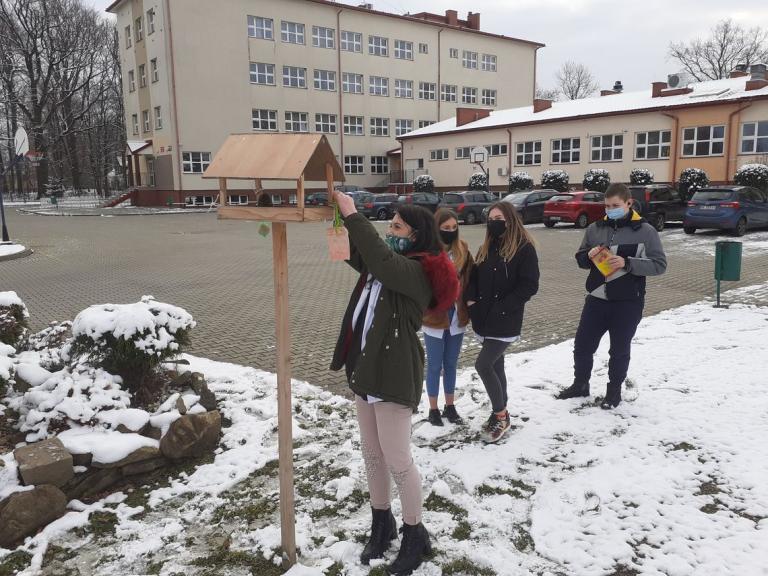 Uczestnicy dbają o ptaki zimą – wolontariat dla zwierząt