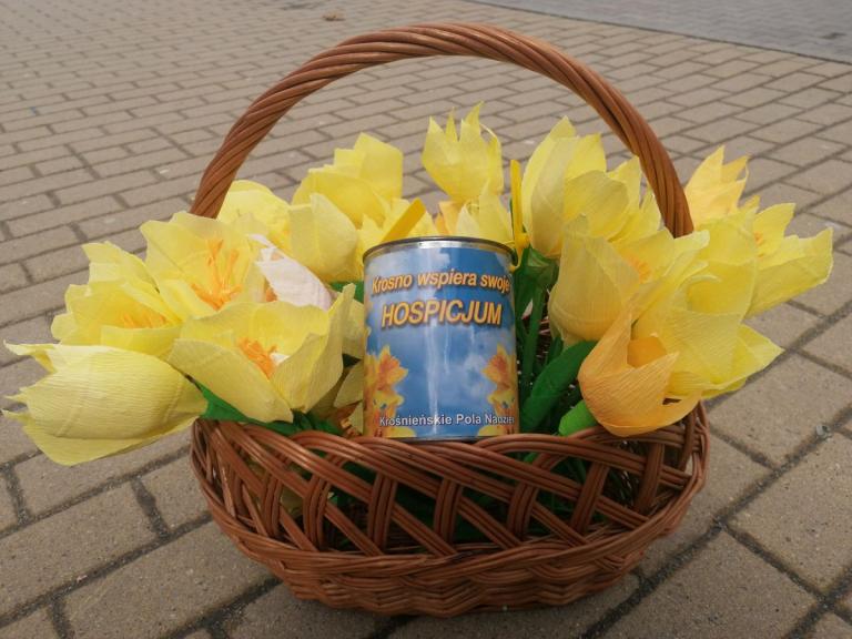 XXV edycja „Pól nadziei” w Krośnie