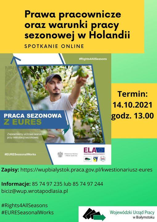 Praca sezonowa w Holandii – spotkanie on-line