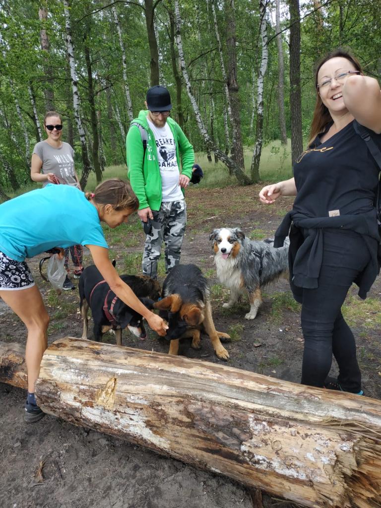 Spacer na sześć  łap i ogon 