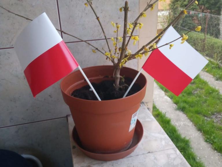 Święto Flagi w sanockim Hufcu