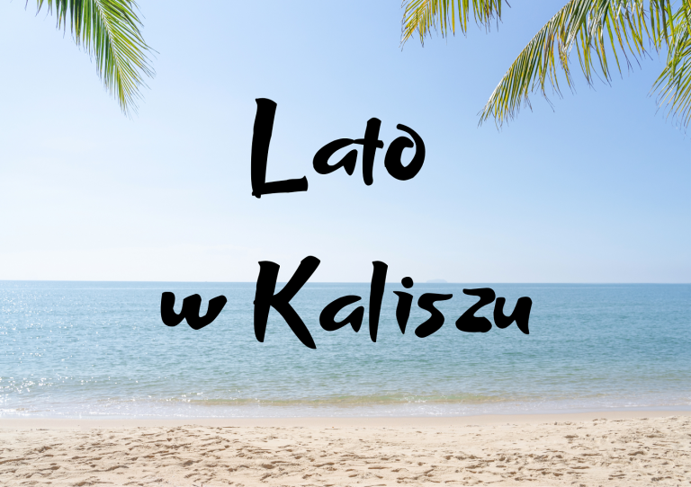 Akcja lato w Hufcu Pracy w Kaliszu