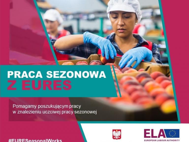 Praca sezonowa w Holandii