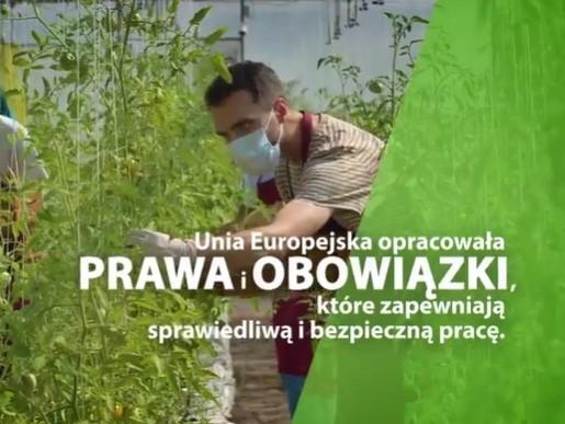 Praca sezonowa w Niemczech