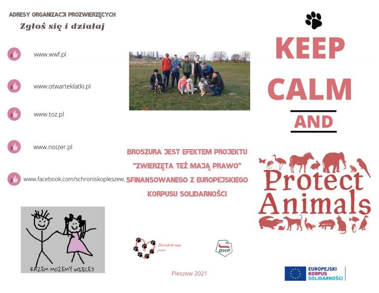 Projekt 