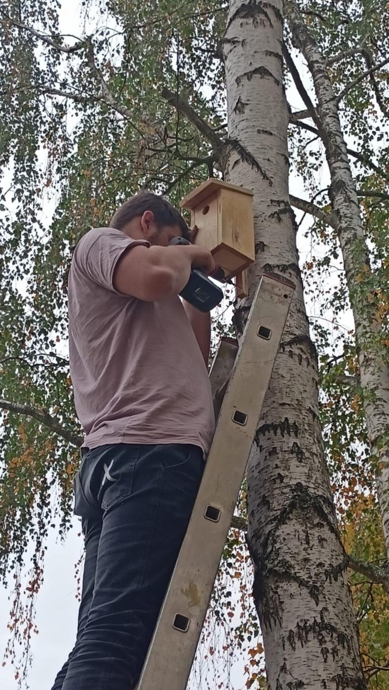 Pomagamy skrzydlatym braciom w OSiW Wiechlice