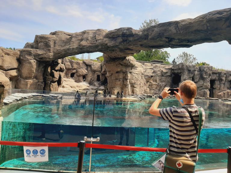 Wyprawa do ZOO OSiW Dąbrowa Górnicza