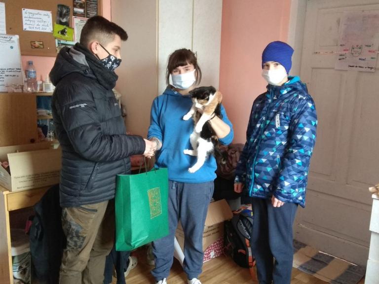 Młodzież pomaga kotom z OTOZ Animals w Krośnie