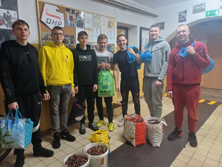 Zbierasz – pomagasz! – młodzież Hufca Pracy we Wrześni włączona w akcję zbierania kasztanów