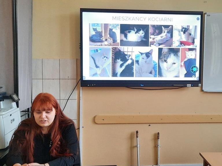 Przyjaciele zwierząt