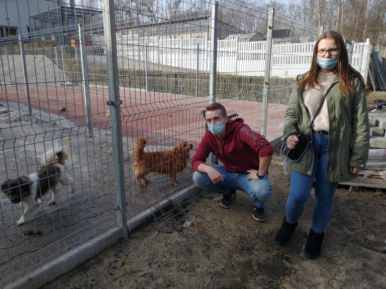 „Pomagamy bezdomnym zwierzętom”