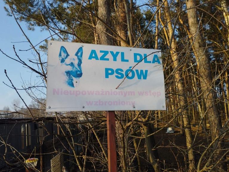 Razem dla azylu