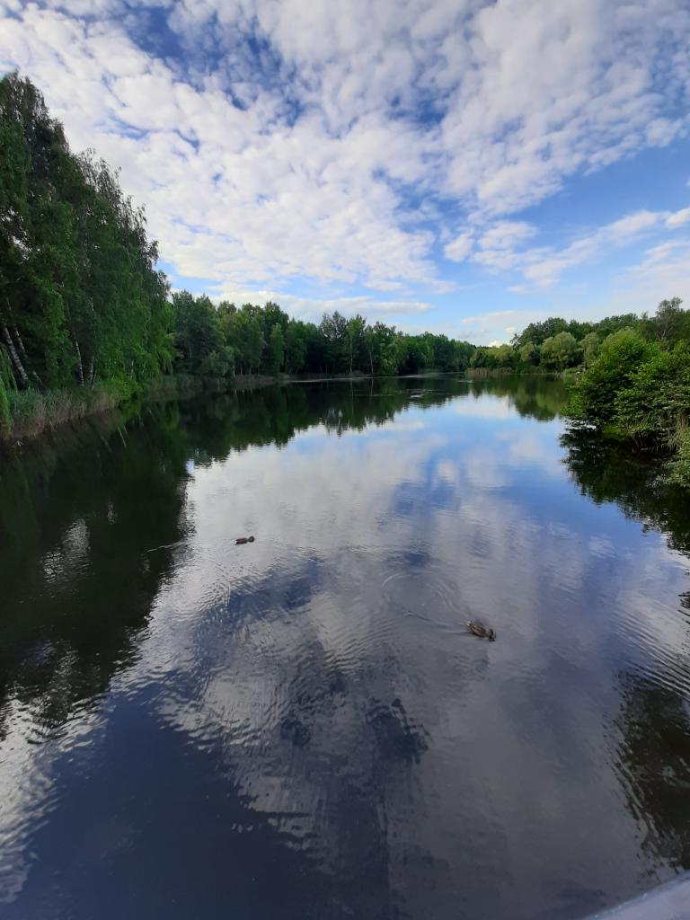 Międzynarodowy Dzień Lasów 2021