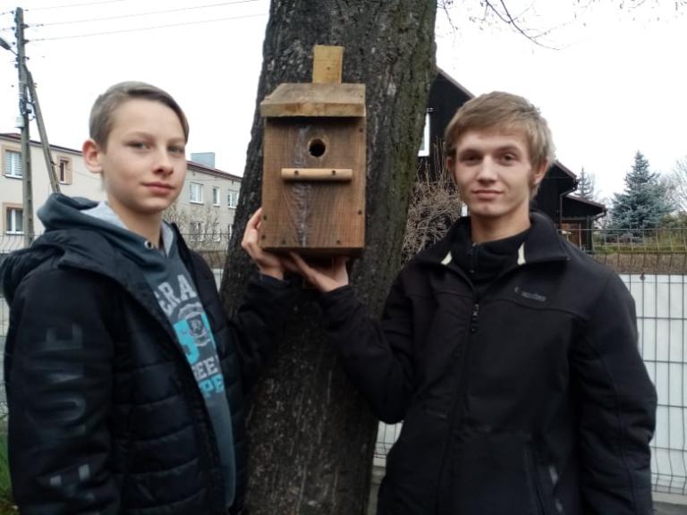 W Częstochowie zrobili karmnik dla sikorek