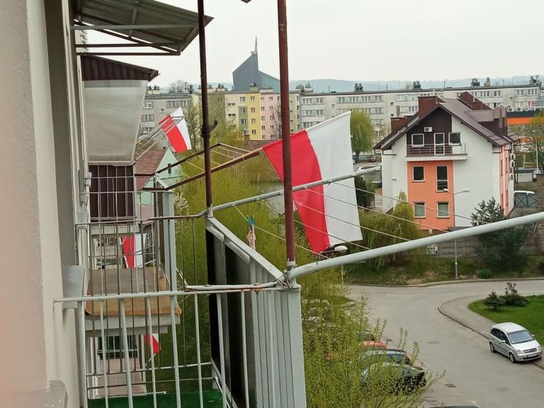 Dzień Flagi Rzeczypospolitej Polskiej w dębickim Hufcu Pracy