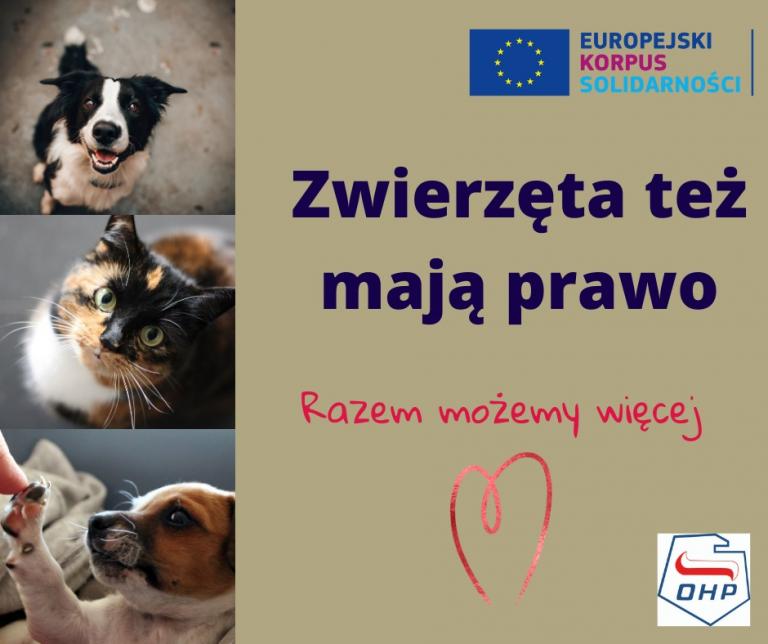 Rozpoczynamy realizację projektu w ramach Europejskiego Korpusu Solidarności