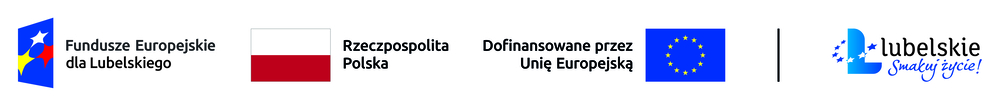 FEL logotyp kolor poziom