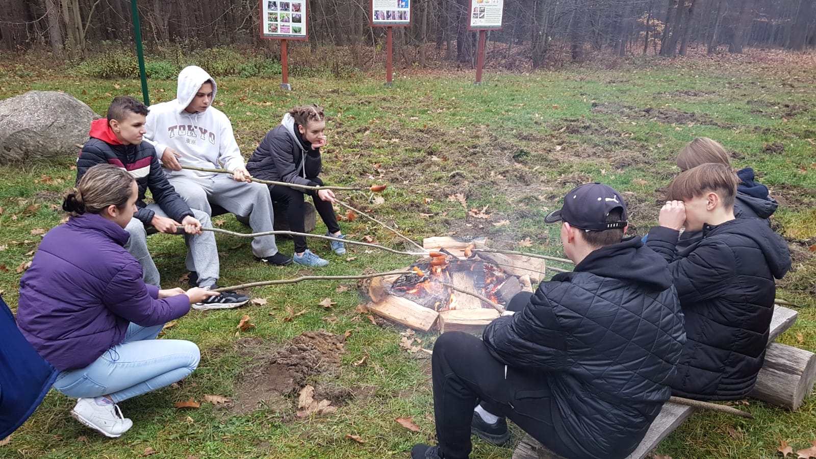 sprzątanie lasu 6