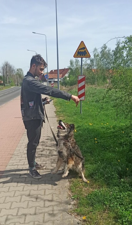 240411 zab4. Emil częstuje swojego podopiecznego przekąskami 