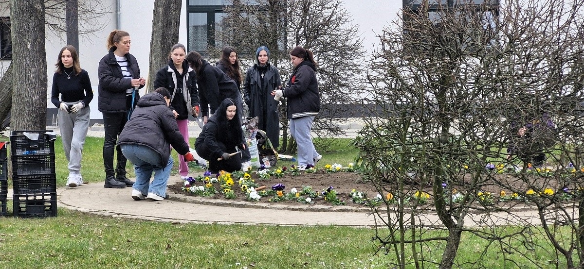 240321 bol2. Uczestnicy sadzą wiosenne kwiaty