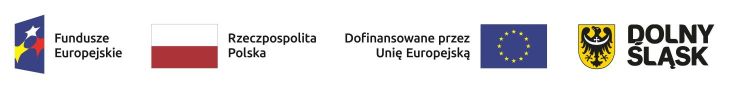 FE RP UE DŚ CMYK kolormale