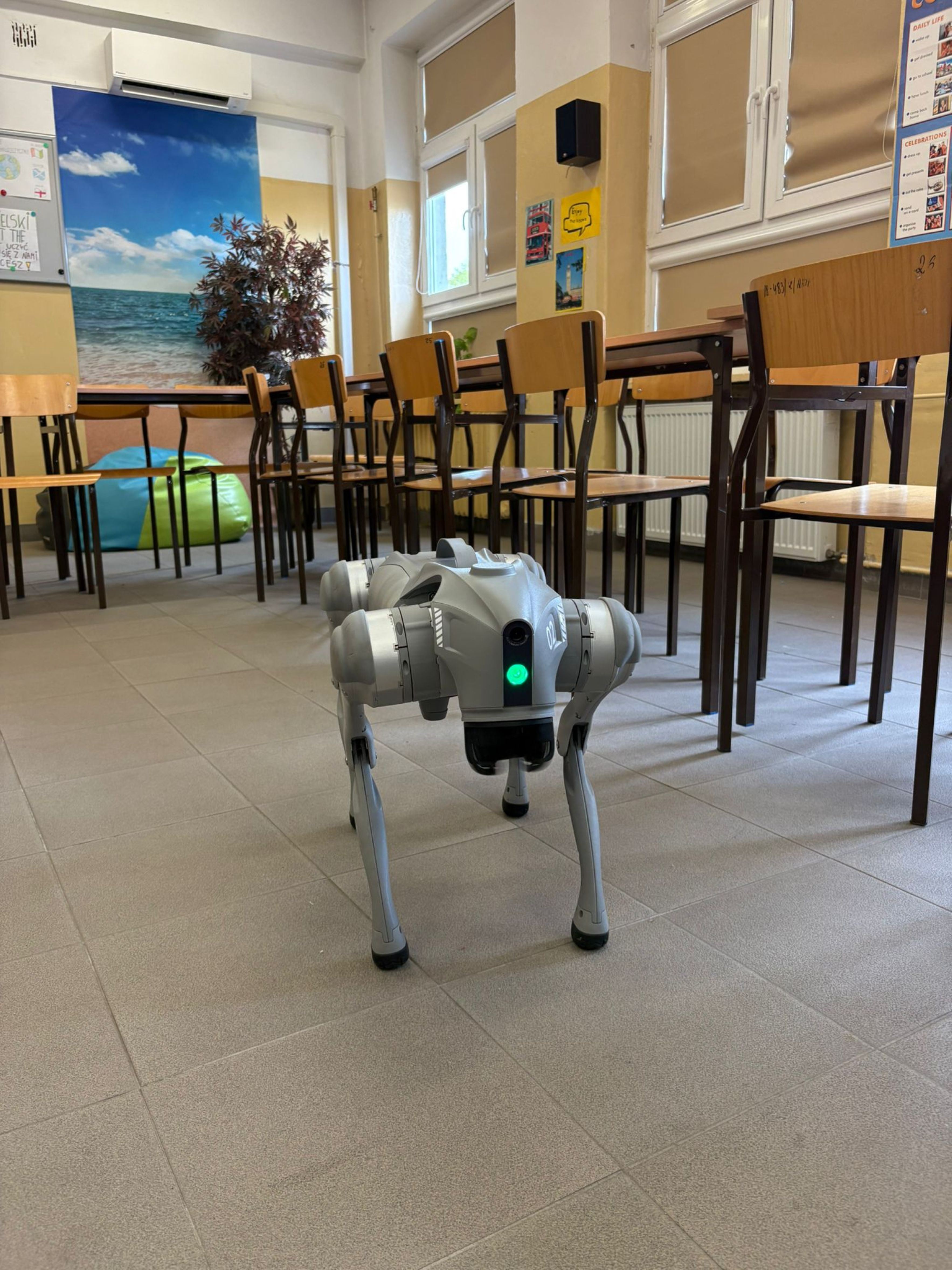 Fot.3_Pies-robot.jpg