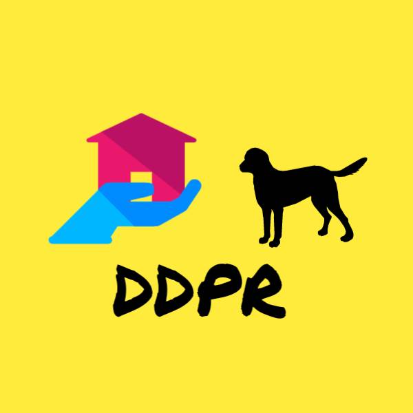 Dach dla przyjaciela reaktywacja autorskie logo projektu