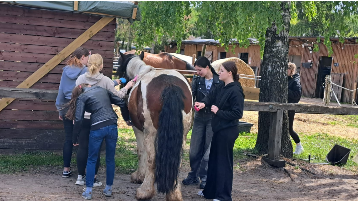 ZWK OHP JAZDA KONNA SZCZECINEK4