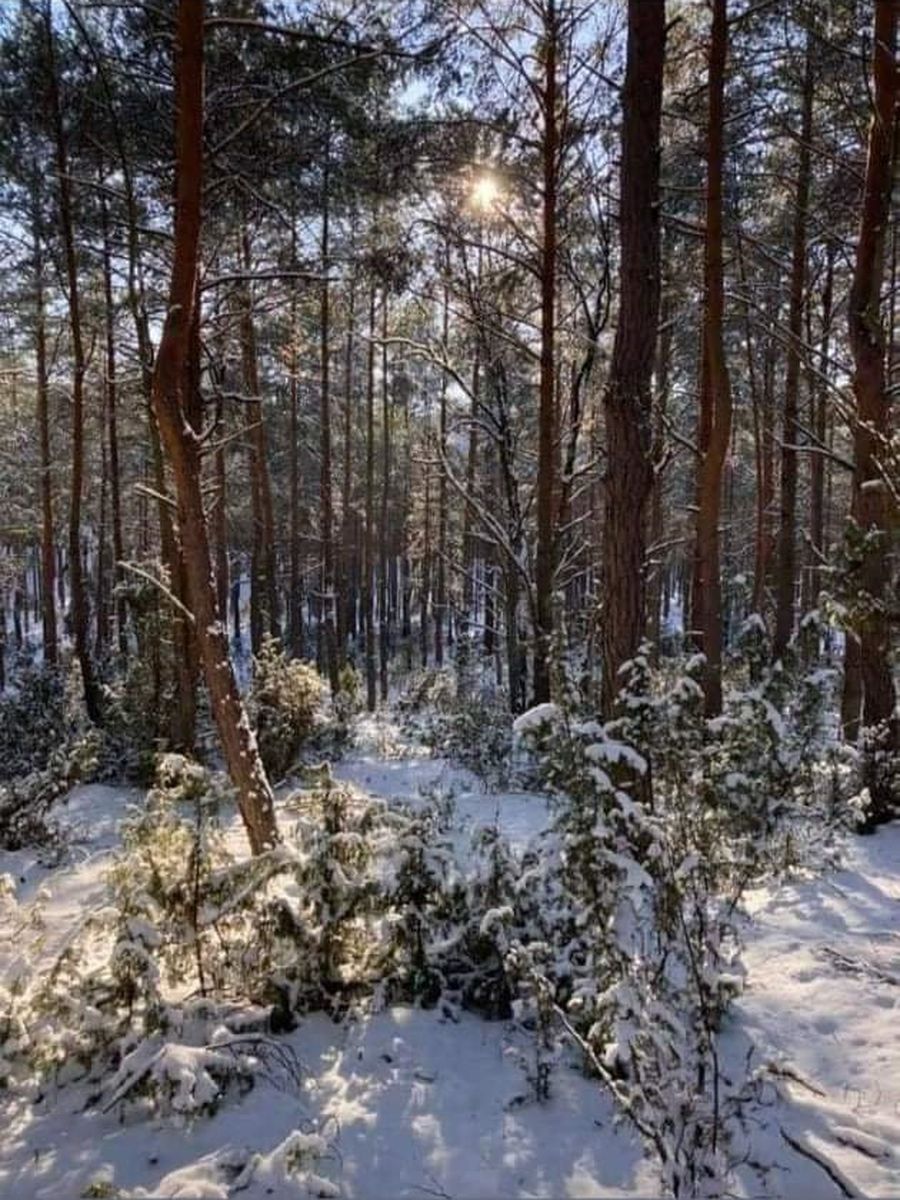ZAKOŃCZENIE KONKURSU FOTOGRAFICZNEGO SPORT REKREACJA I PODRÓŻE W ZIMOWEJ AURZE Fot.3