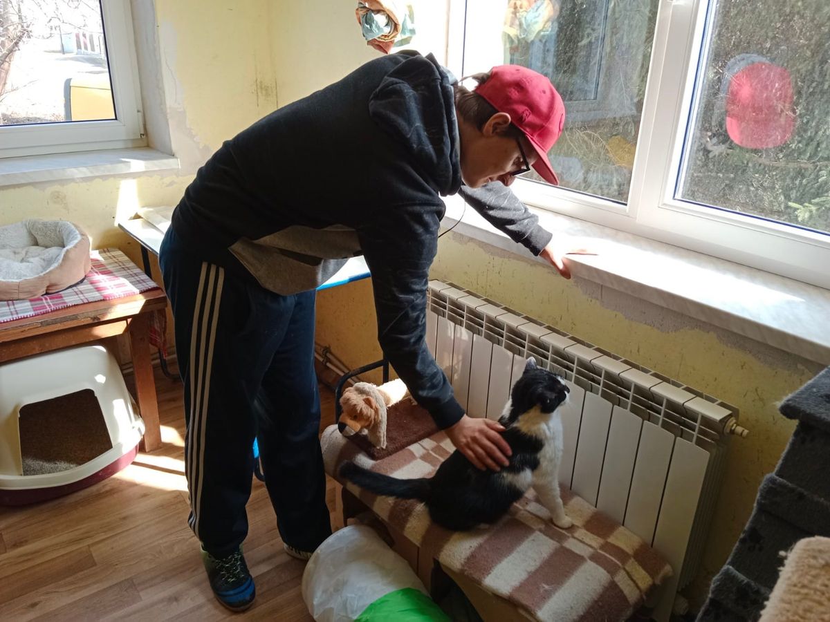  PRZYJACIELE ZWIERZĄT W KROŚNIE 3