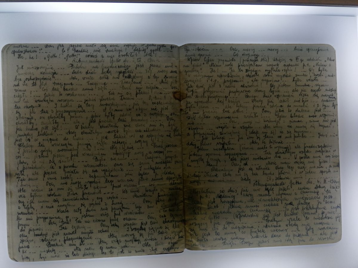 W POSZUKIWANIU RYWKI Z ŁÓDZKIEGO GETTA WYJŚCIE DO KROŚNIEŃSKIEGO MUZEUM 4