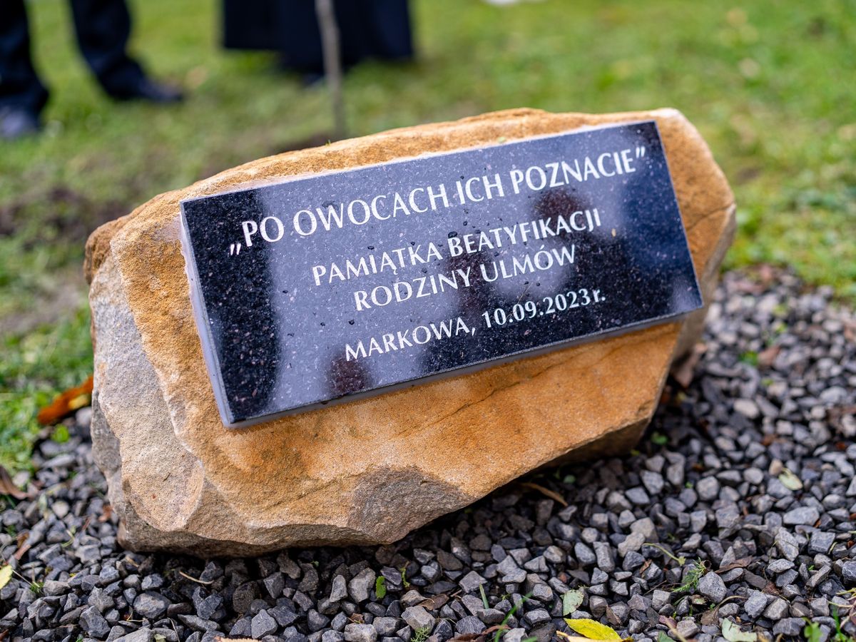 Po owocach ich poznacie 6