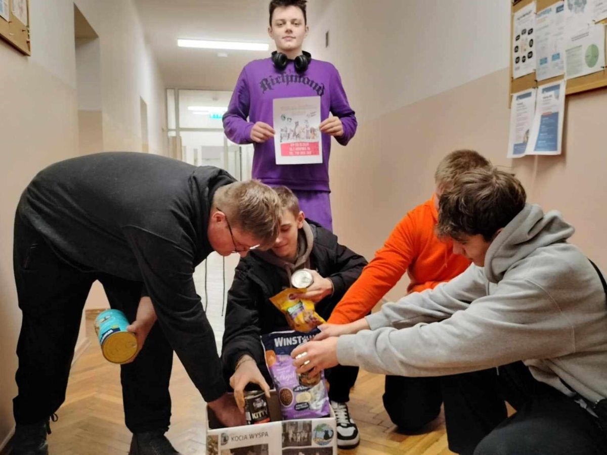 ZIMOWA AKCJA DLA BEZDOMNYCH CZWORONOGÓW 1