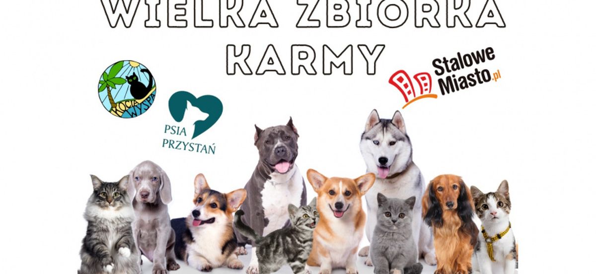 ZIMOWA AKCJA DLA BEZDOMNYCH CZWORONOGÓW 3