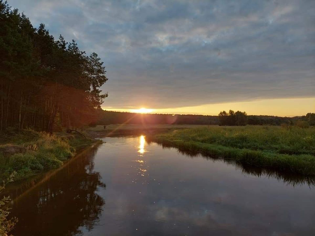 Rozstrzygnięcie konkursu fotograficznego w Dębicy 2