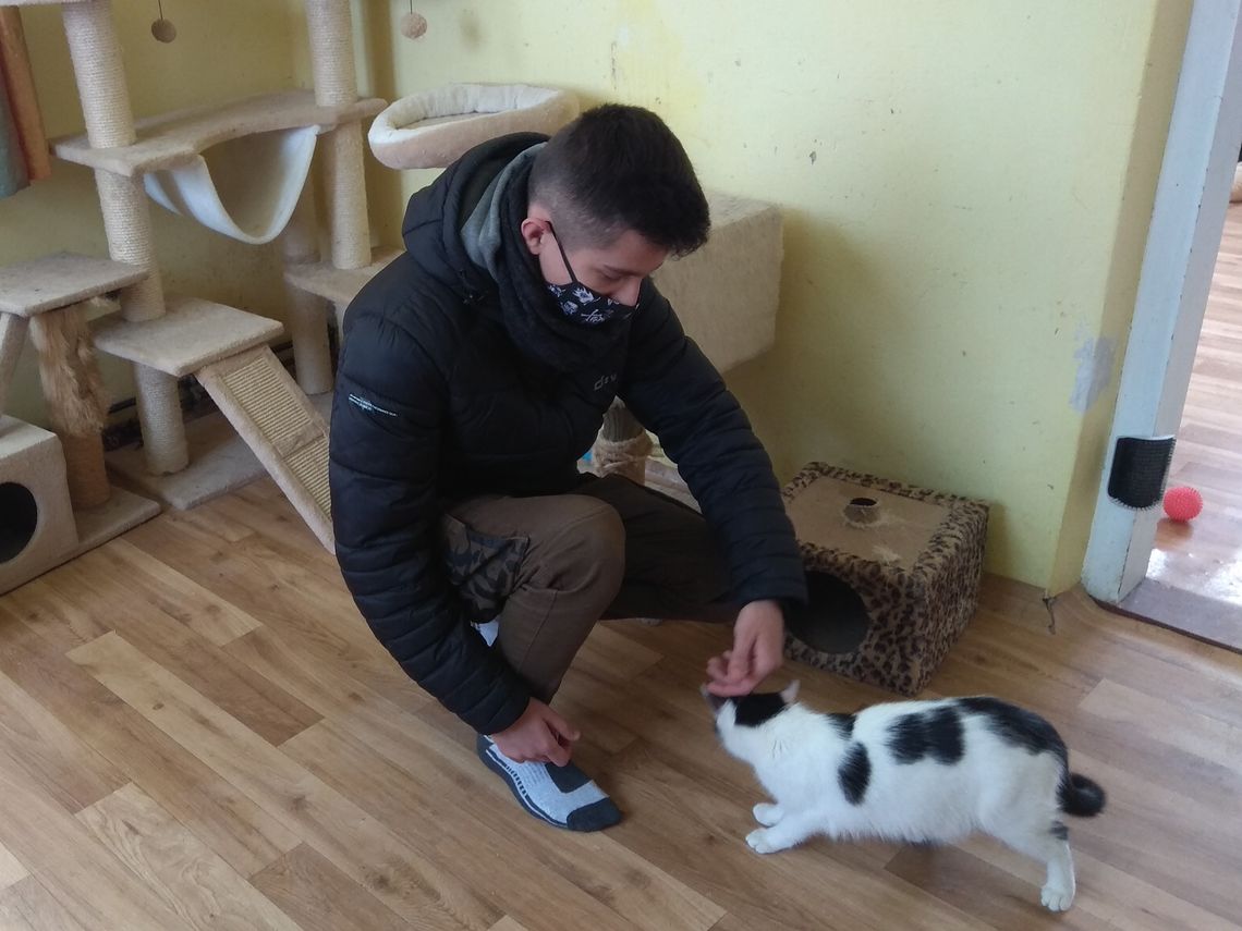 BEZINTERESOWNA POMOC UCZESTNIKÓW 9 10 HUFCA PRACY DLA KOCIAKÓW Z OTOZ ANIMALS W KROŚNIE.2