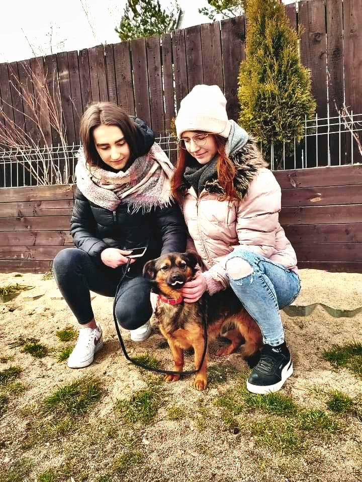 Augustów: Czworonogi w potrzebie