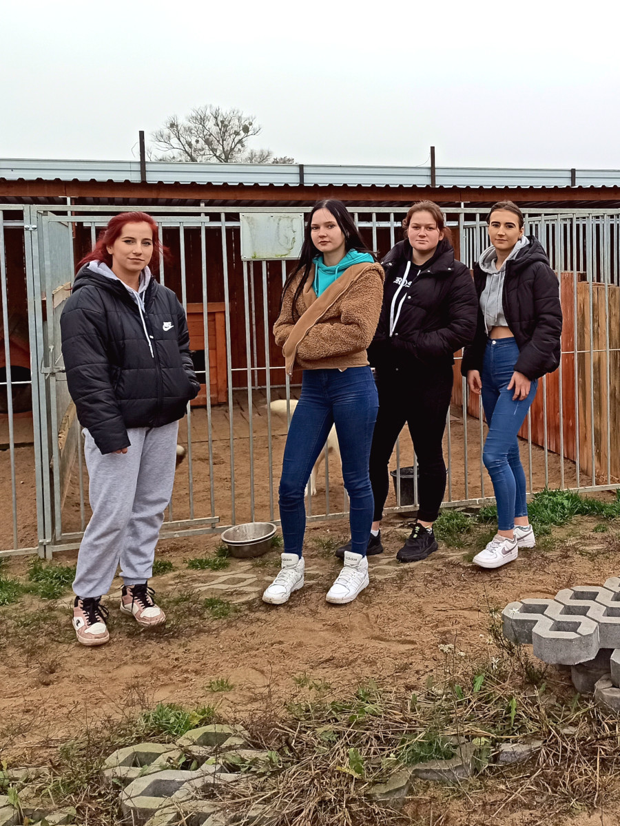 Augustów: Czworonogi w potrzebie