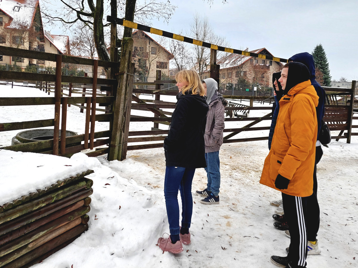 Wasilków: Akcja Marchewka – pomóż zwierzętom i przeżyj przygodę!