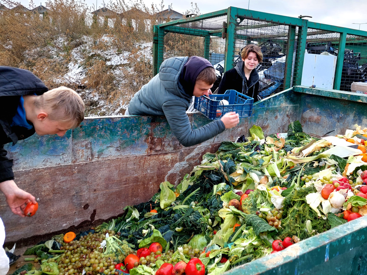 Wasilków: Akcja „Marchewka” uczestników OSIW