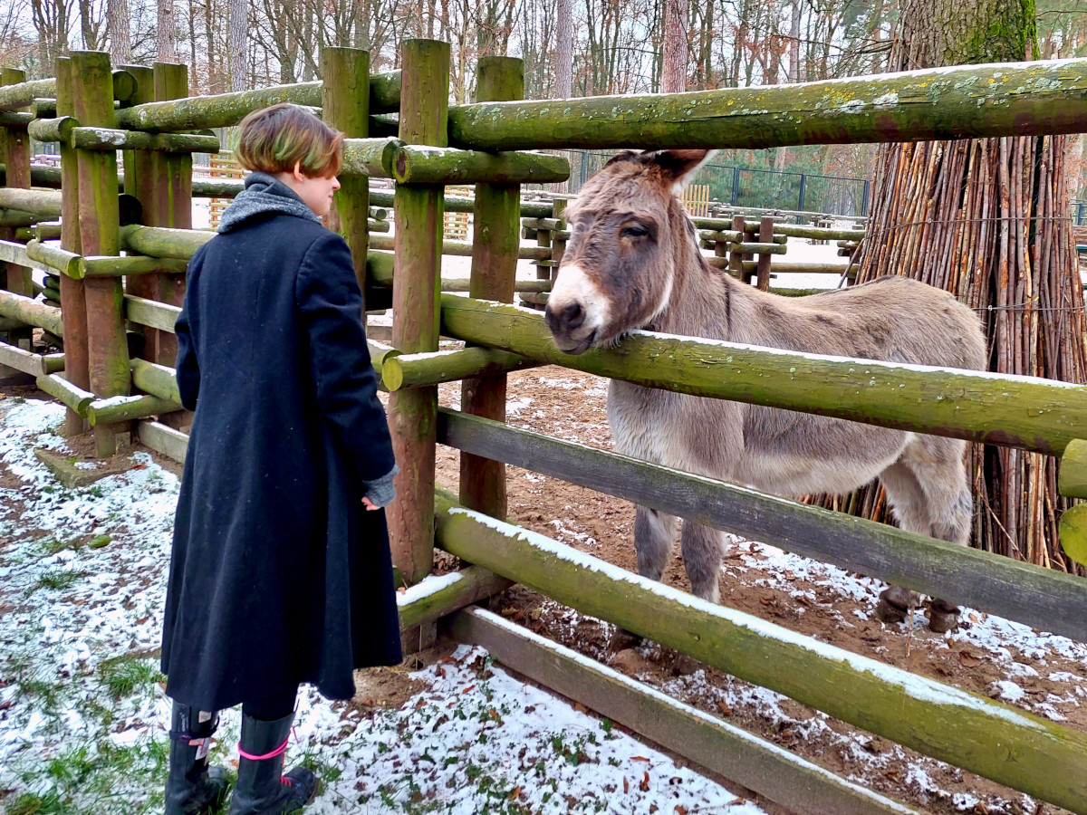 Wasilków: Akcja „Marchewka” uczestników OSIW