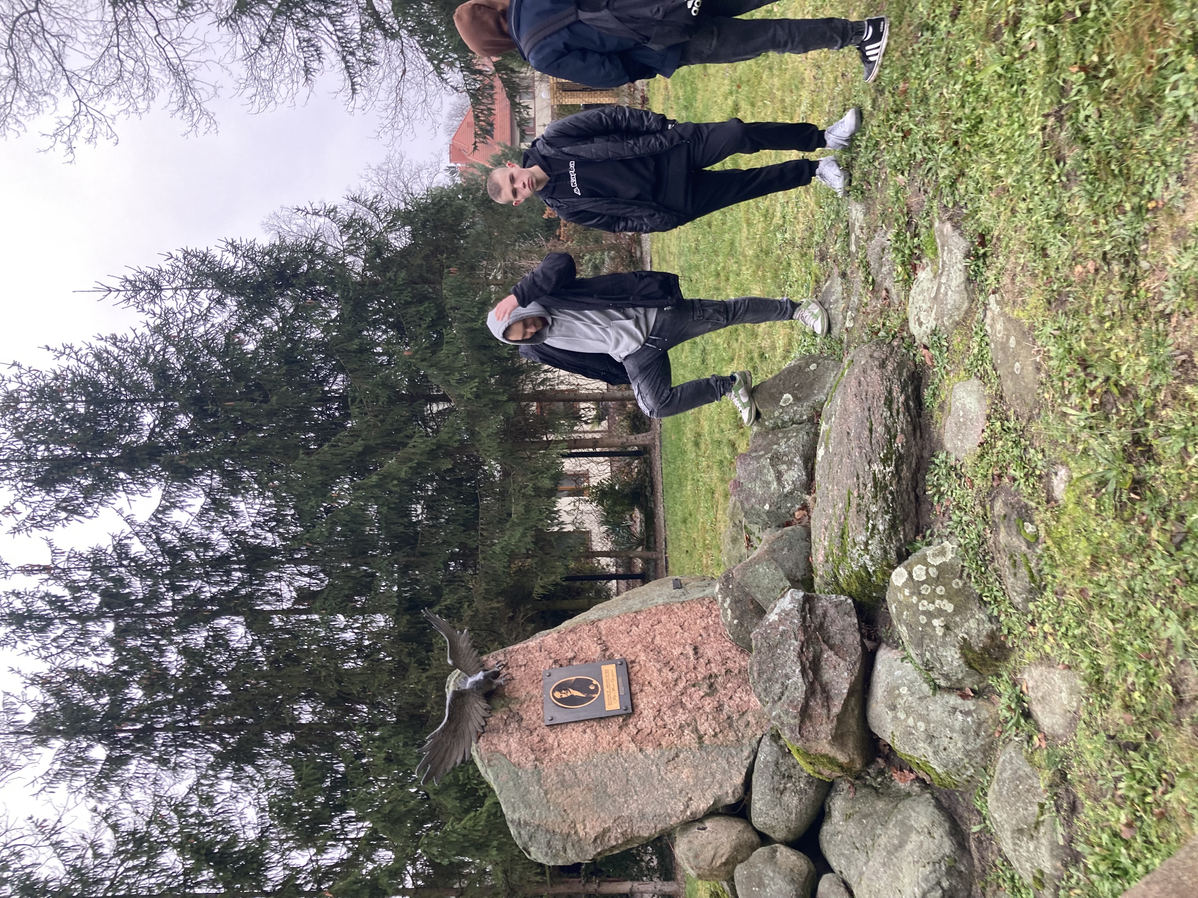 IMG 4896